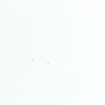 Snow Drop Colour